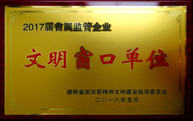 华体买球（中国）集团养老产业有限华体买球荣获“省属监管企业文明窗口单位”称号